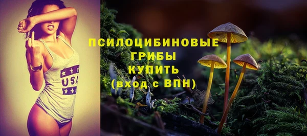 гашик Осинники